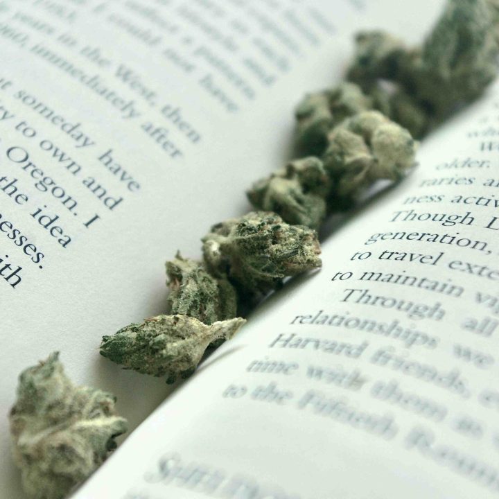 libro cannabis
